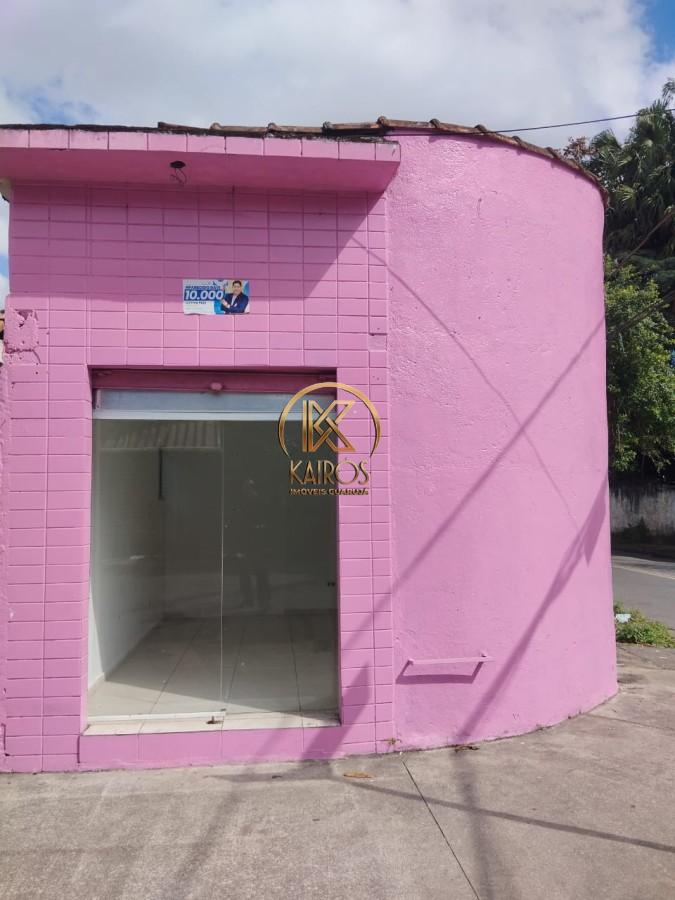 imagem-miniatura